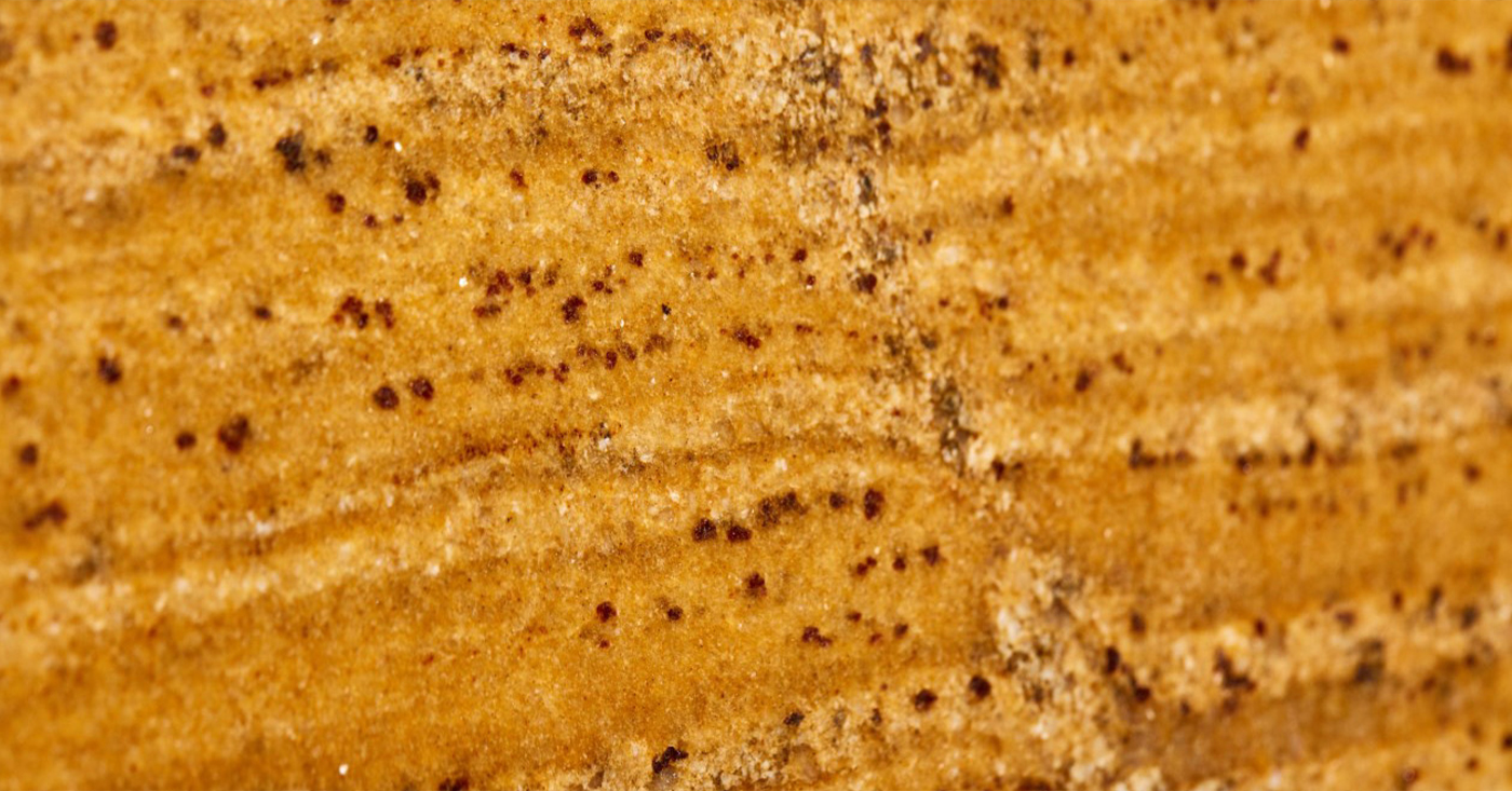 Madura Gold Dark - Polished